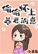 偷偷怀孕准新娘全文免费阅读