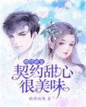 契约婚途的暖恋