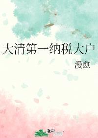 大清第一纳税大户txt百度