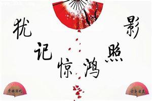 犹记惊鸿照影来全文免费阅读