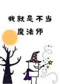我就是不当魔法师82