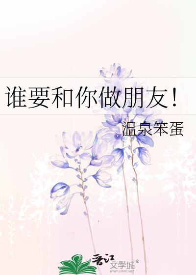 阿细谁要和你做朋友歌词