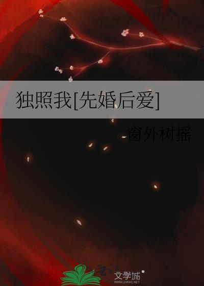 独不照我和不独照我的区别