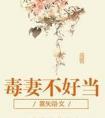 毒妻不好当TXT完本免费