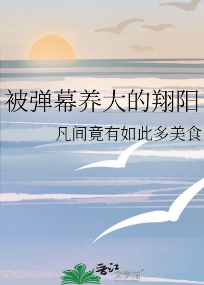 被弹幕养大的翔阳君