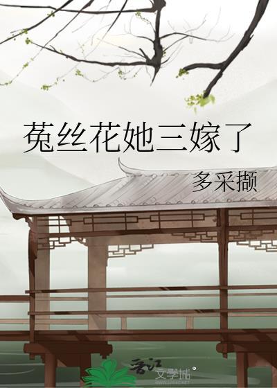 菟丝花三嫁