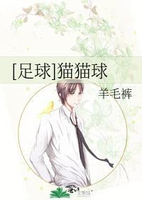 猫球图片