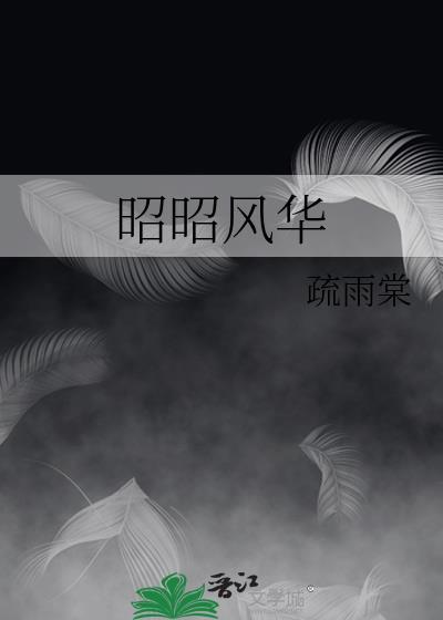 韶华昭昭什么意思