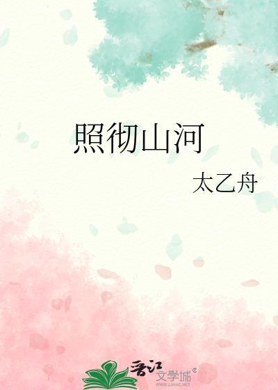 照彻山河txt电子书
