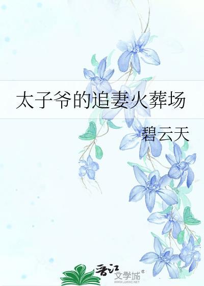 太子追妻笔札