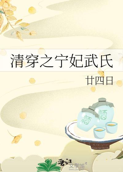 清穿之宁妃武氏书评
