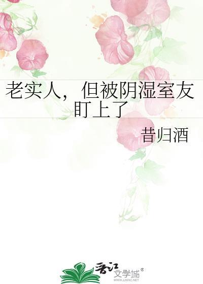 老实人被阴暗人欺负的完整故事