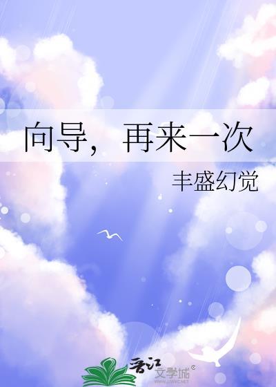 向导再来一次TXT