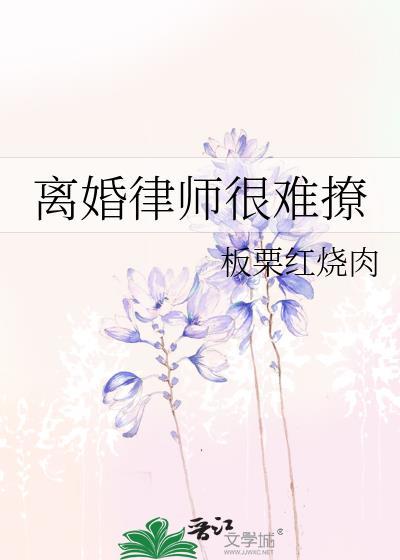 离婚律师好看吗?