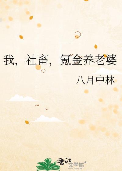 氪金养老婆免费阅读