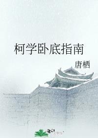 柯学卧底指南by