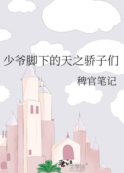 少爷的鞋垫
