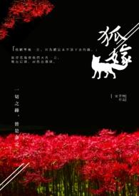 狐嫁by姓猴的txt百度