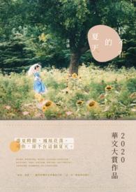 你不在mv女主