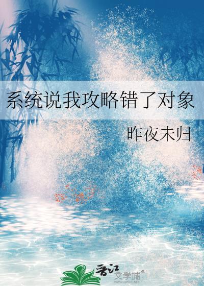 系统告诉我攻略错人了