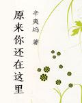 致青春原来你还在这里大结局视频