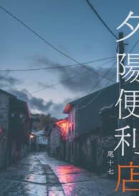 夕阳有限公司