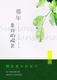 那年夏天阳光阳光