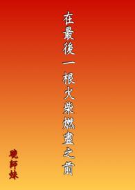 最后一根火柴主要内容