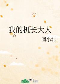 我的机长大人简思弦