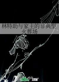 林特助短剧