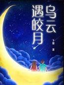 乌云遇皎月在线电视剧