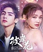 彼岸花代表什么