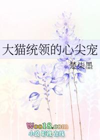 大猫统领的心尖宠 夏鱼
