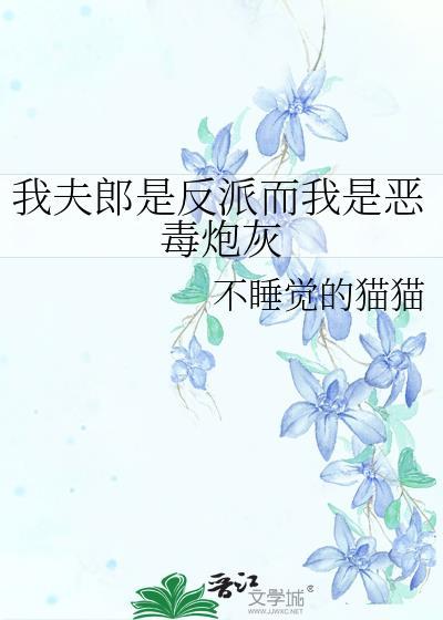 我夫郎是恶毒反派我是恶毒炮灰
