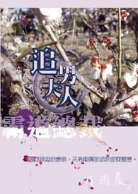 霸道总裁猛追妻