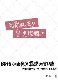 愿你此生梦想光芒