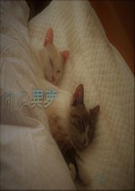 同床异梦by笔趣阁百度
