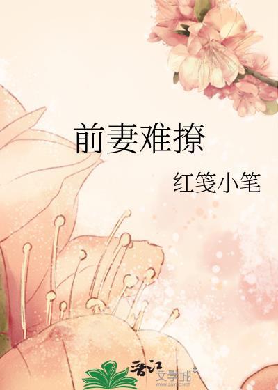 前妻不好惹的免费阅读