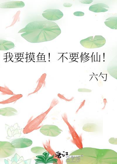 我要看摸鱼公司
