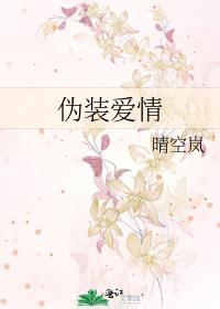 伪装爱情晴空岚TXT