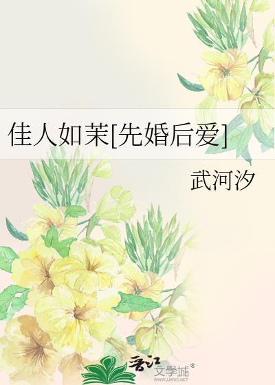 佳人如梦阅读