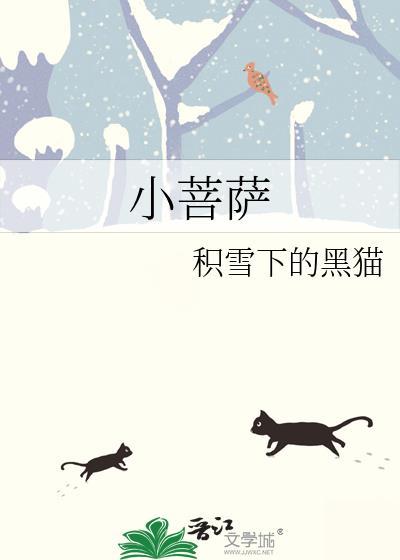 小菩萨by一颗黄铁柱笔趣网