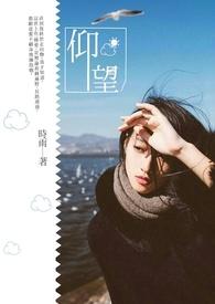 仰望u8什么价格