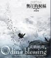 奥汀的祝福txt百度资源