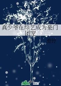 真少爷在豪门靠系统爆红娱乐圈