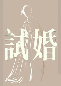 试婚丫鬟 电视剧