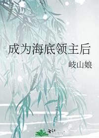 主角穿越成为海洋领主的