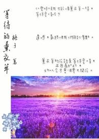 薰衣草全部歌词