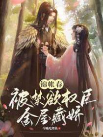 锦帐春深免费读