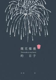 烟花灿烂是什么意思